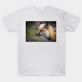 Fox T-Shirt